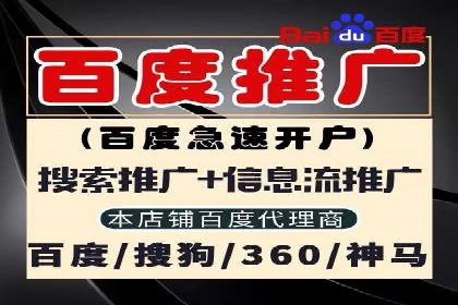 SEM优化策略案例分析